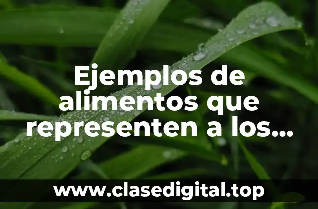 Ejemplos de alimentos que representen a los lipidos