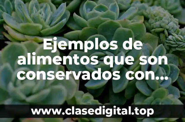 Ejemplos de alimentos que son conservados con técnicas tradicionales