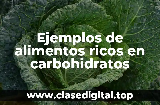 Ejemplos de alimentos ricos en carbohidratos