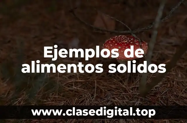 Ejemplos de alimentos solidos