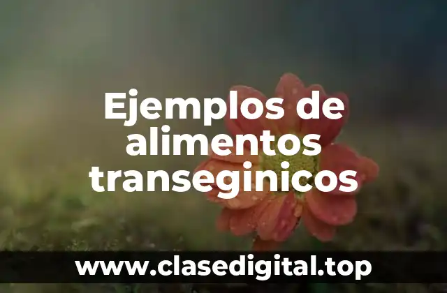 Ejemplos de alimentos transeginicos