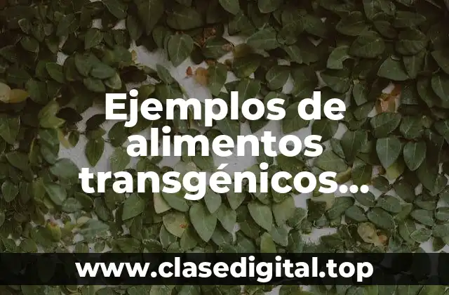 Ejemplos de alimentos transgénicos ventajas y desventajas