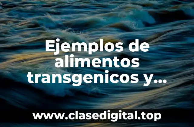 Ejemplos de alimentos transgenicos y organicos y Significado