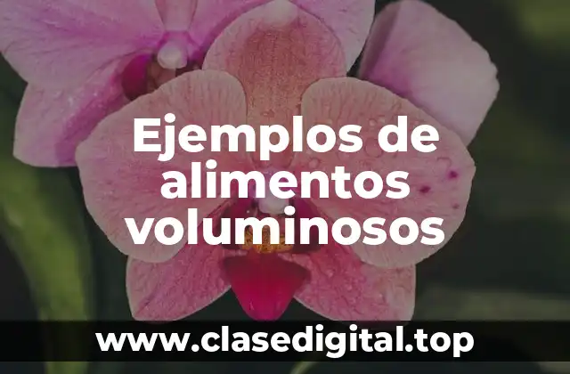 Ejemplos de alimentos voluminosos