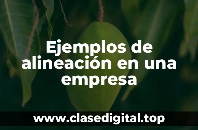 Ejemplos de alineación en una empresa