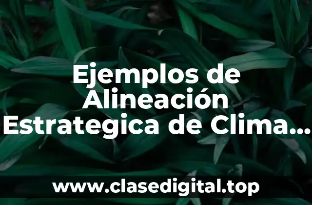 Ejemplos de Alineación Estrategica de Clima Laboral