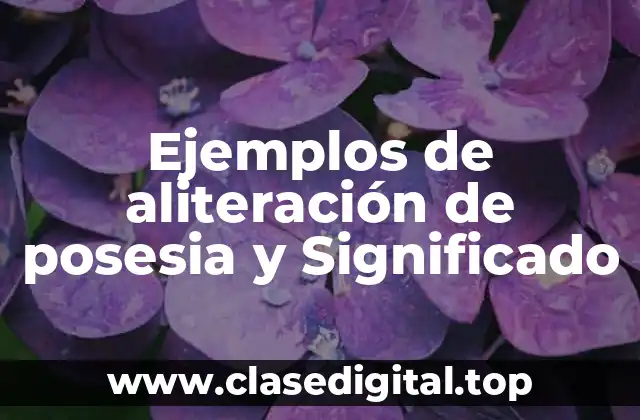 Ejemplos de aliteración de posesia y Significado