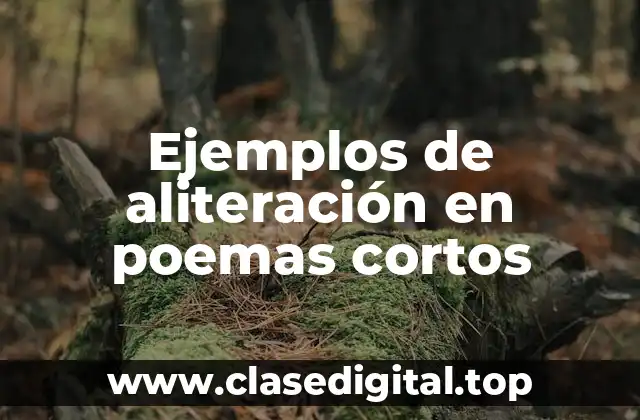 Ejemplos de aliteración en poemas cortos