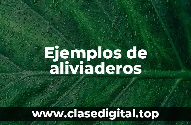 Ejemplos de aliviaderos