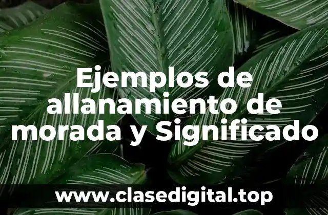 Ejemplos de allanamiento de morada y Significado