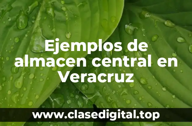 Ejemplos de almacen central en Veracruz
