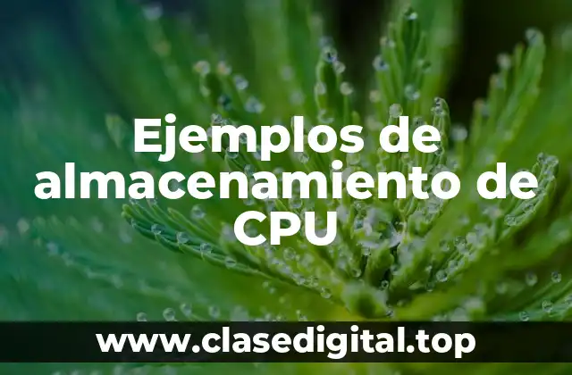 Ejemplos de almacenamiento de CPU