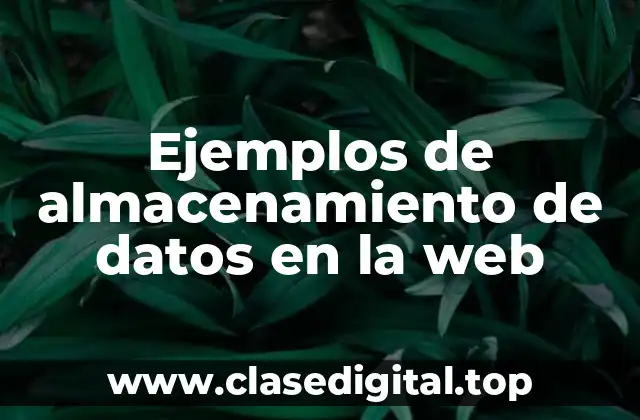 Ejemplos de almacenamiento de datos en la web