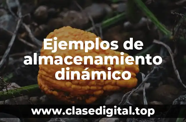 Ejemplos de almacenamiento dinámico