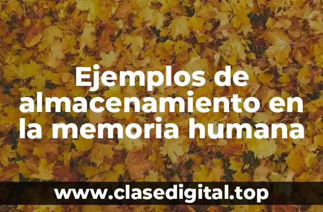 Ejemplos de almacenamiento en la memoria humana