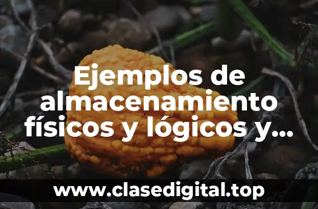 Ejemplos de almacenamiento físicos y lógicos y Significado
