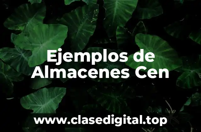 Ejemplos de Almacenes Cen