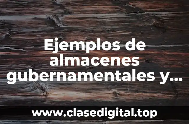 Ejemplos de almacenes gubernamentales y Significado