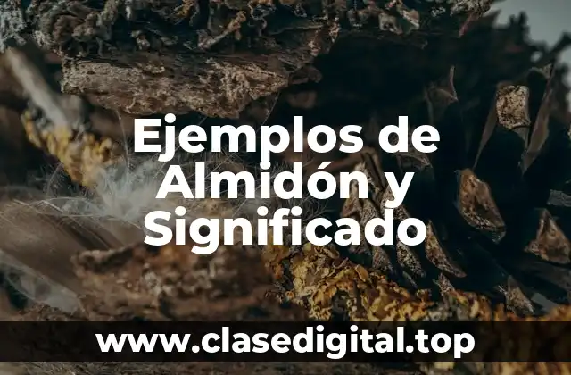 Ejemplos de Almidón y Significado