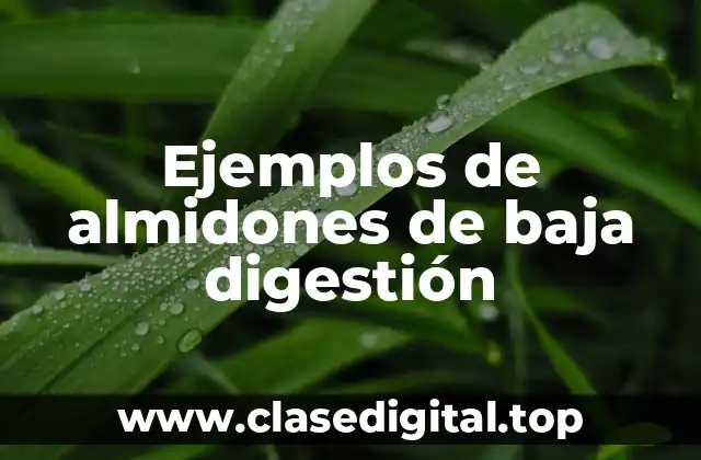 Ejemplos de almidones de baja digestión
