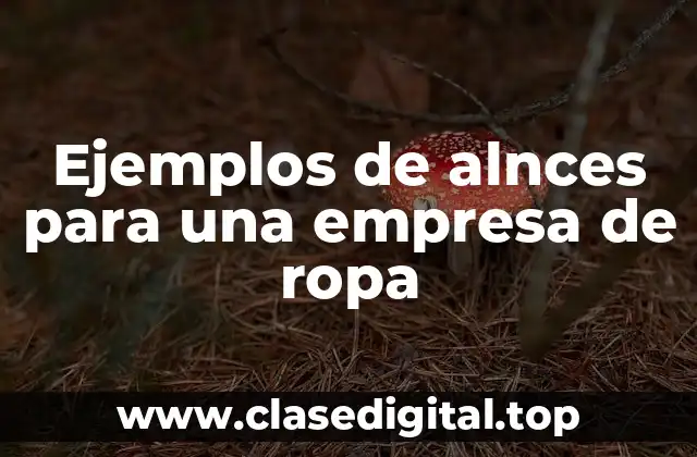 Ejemplos de alnces para una empresa de ropa