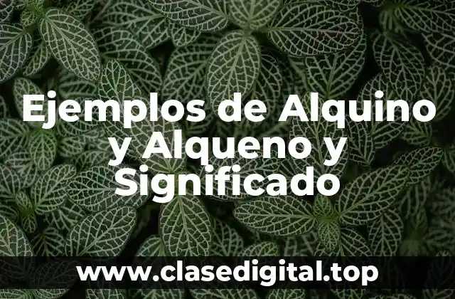 Ejemplos de Alquino y Alqueno y Significado