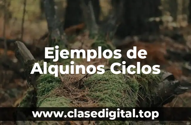 Ejemplos de Alquinos Ciclos