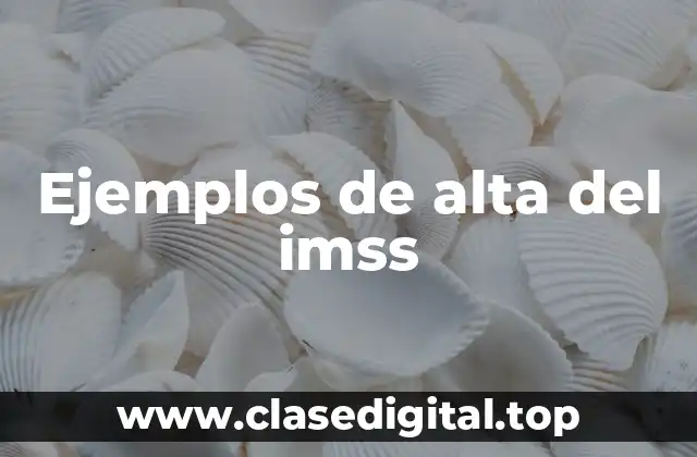 Ejemplos de alta del imss