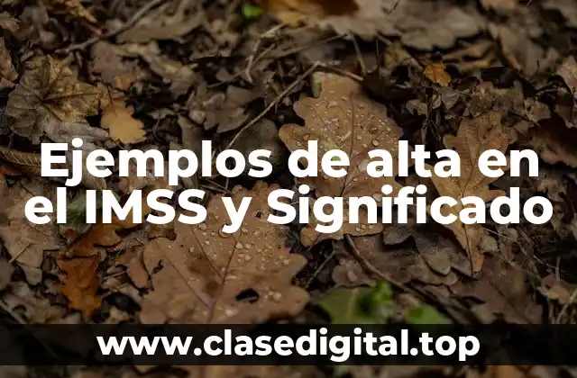 Ejemplos de alta en el IMSS y Significado