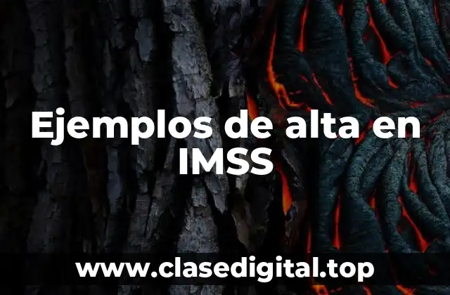 Ejemplos de alta en IMSS