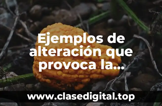 Ejemplos de alteración que provoca la tecnología en los ecosistemas