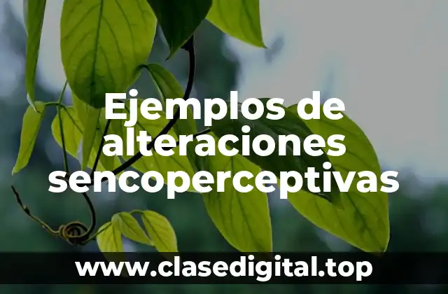 Ejemplos de alteraciones sencoperceptivas