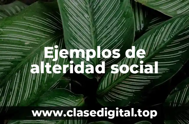 Ejemplos de alteridad social
