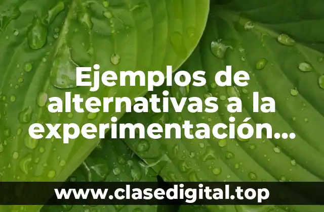 Ejemplos de alternativas a la experimentación con animales