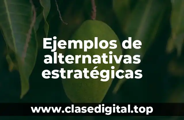 Ejemplos de alternativas estratégicas