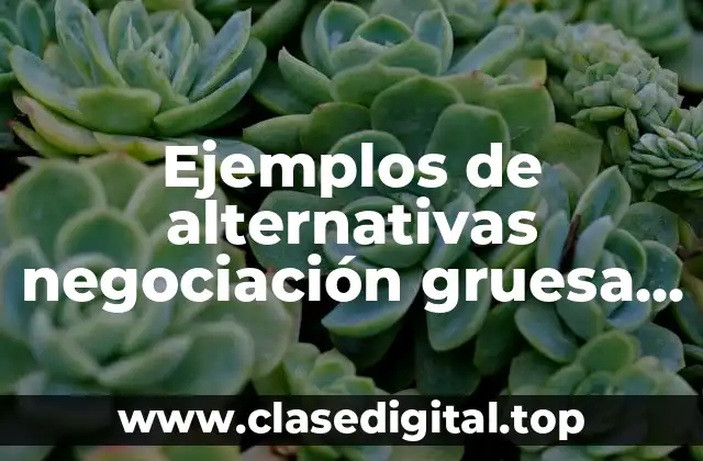 Ejemplos de alternativas negociación gruesa ejemplo