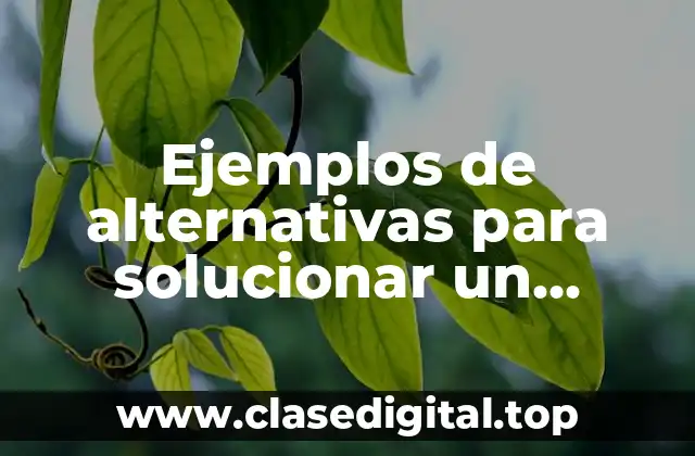 Ejemplos de alternativas para solucionar un problema y Significado