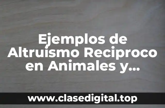 Ejemplos de Altruismo Reciproco en Animales y Significado