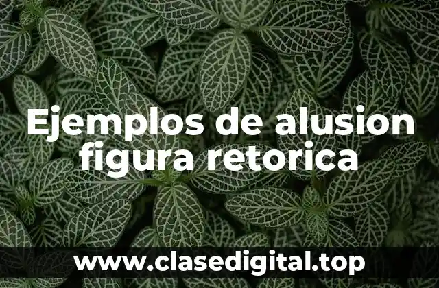 Ejemplos de alusion figura retorica