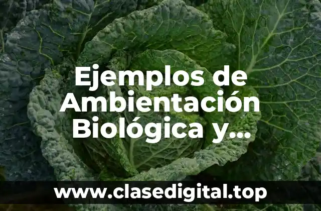 Ejemplos de Ambientación Biológica y Significado