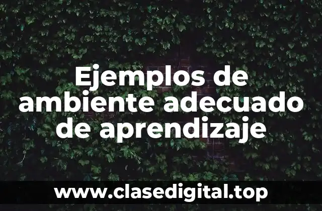 Ejemplos de ambiente adecuado de aprendizaje