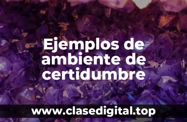 Ejemplos de ambiente de certidumbre