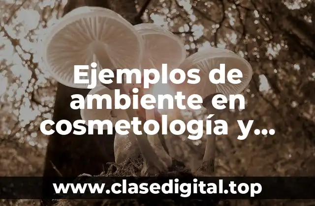 Ejemplos de ambiente en cosmetología y Significado