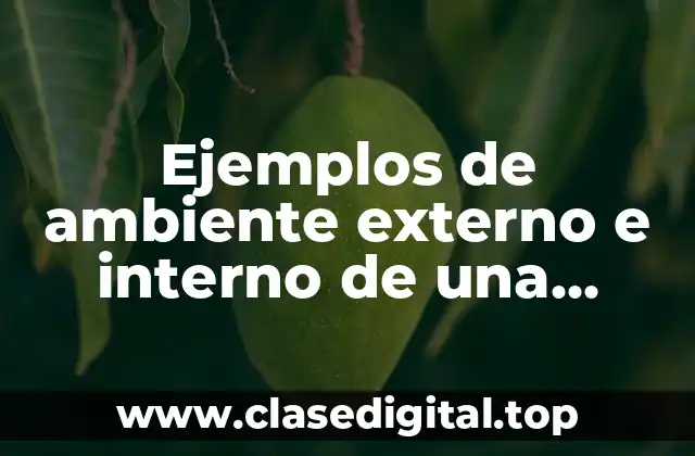 Ejemplos de ambiente externo e interno de una empresa