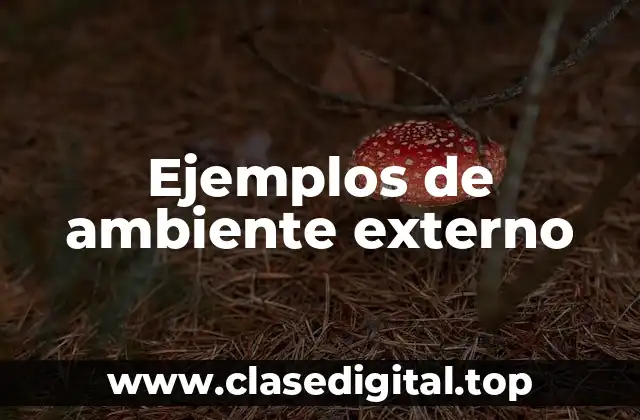 Ejemplos de ambiente externo