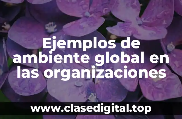 Ejemplos de ambiente global en las organizaciones