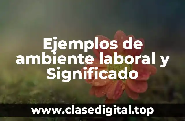 Ejemplos de ambiente laboral y Significado