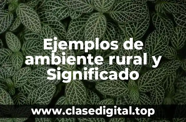 Ejemplos de ambiente rural y Significado