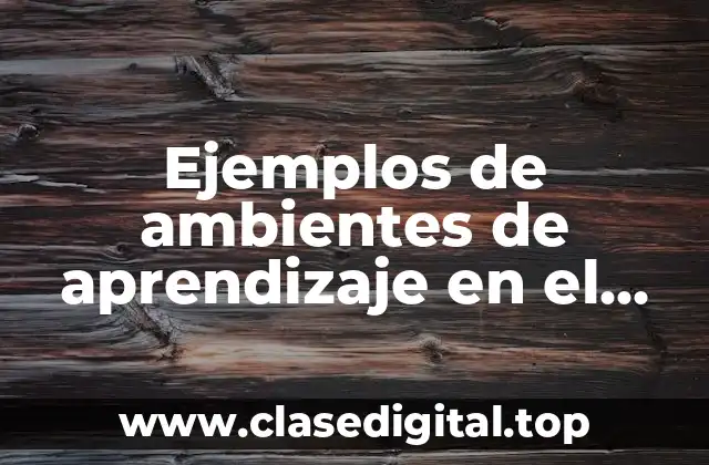 Ejemplos de ambientes de aprendizaje en el aula y Significado