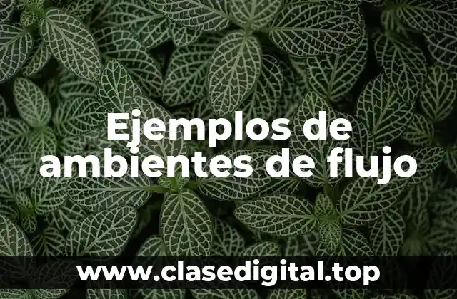 Ejemplos de ambientes de flujo